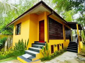 Bunga & Daun Homestay: Penginapan Nyaman dengan Tema Alam
