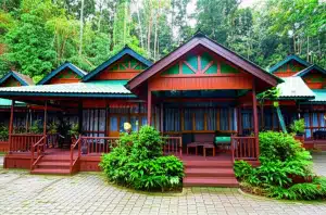 De Rimbun Inn Resort & Camp: Pengalaman Perkemahan Mewah di Hutan